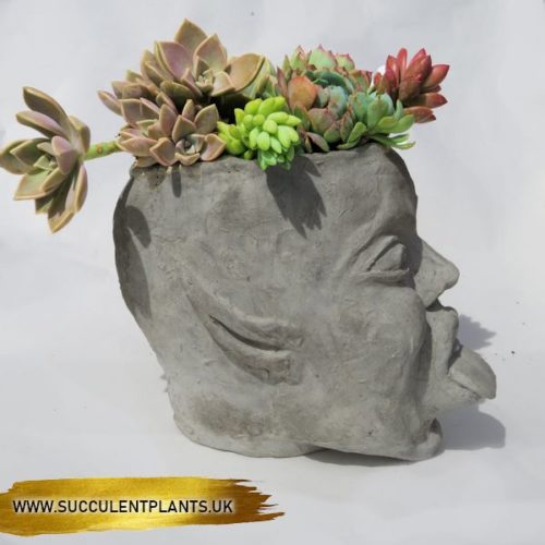 NAUGHTY FAIRY  - LARGE CONCRETE HEAD PLANTER - Image 11