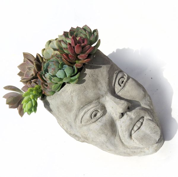 NAUGHTY FAIRY – LARGE CONCRETE HEAD PLANTER – Succulent Plants UK