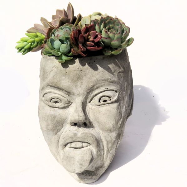 NAUGHTY FAIRY – LARGE CONCRETE HEAD PLANTER – Succulent Plants UK