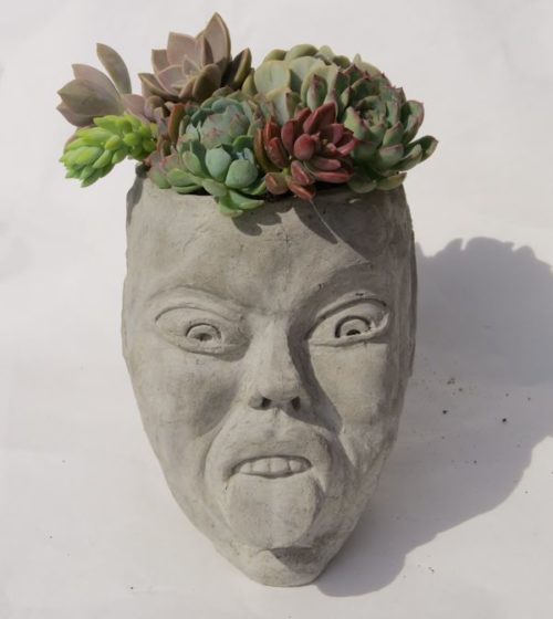 NAUGHTY FAIRY – LARGE CONCRETE HEAD PLANTER – Succulent Plants UK