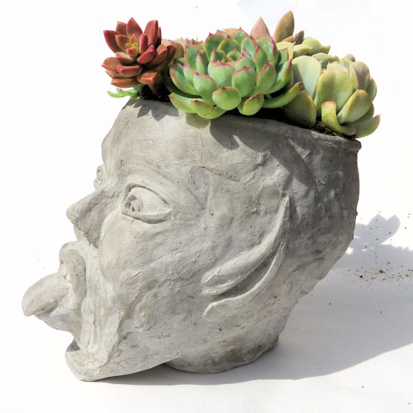 NAUGHTY FAIRY – LARGE CONCRETE HEAD PLANTER – Succulent Plants UK