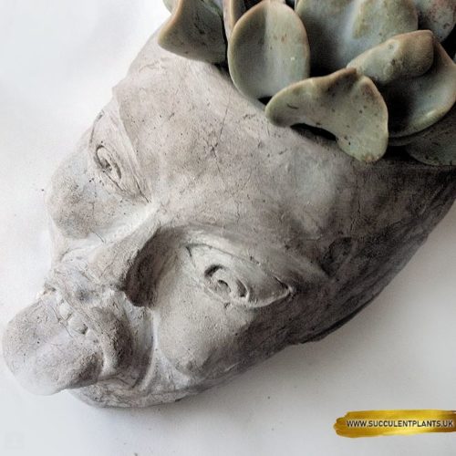NAUGHTY FAIRY  - LARGE CONCRETE HEAD PLANTER - Image 3
