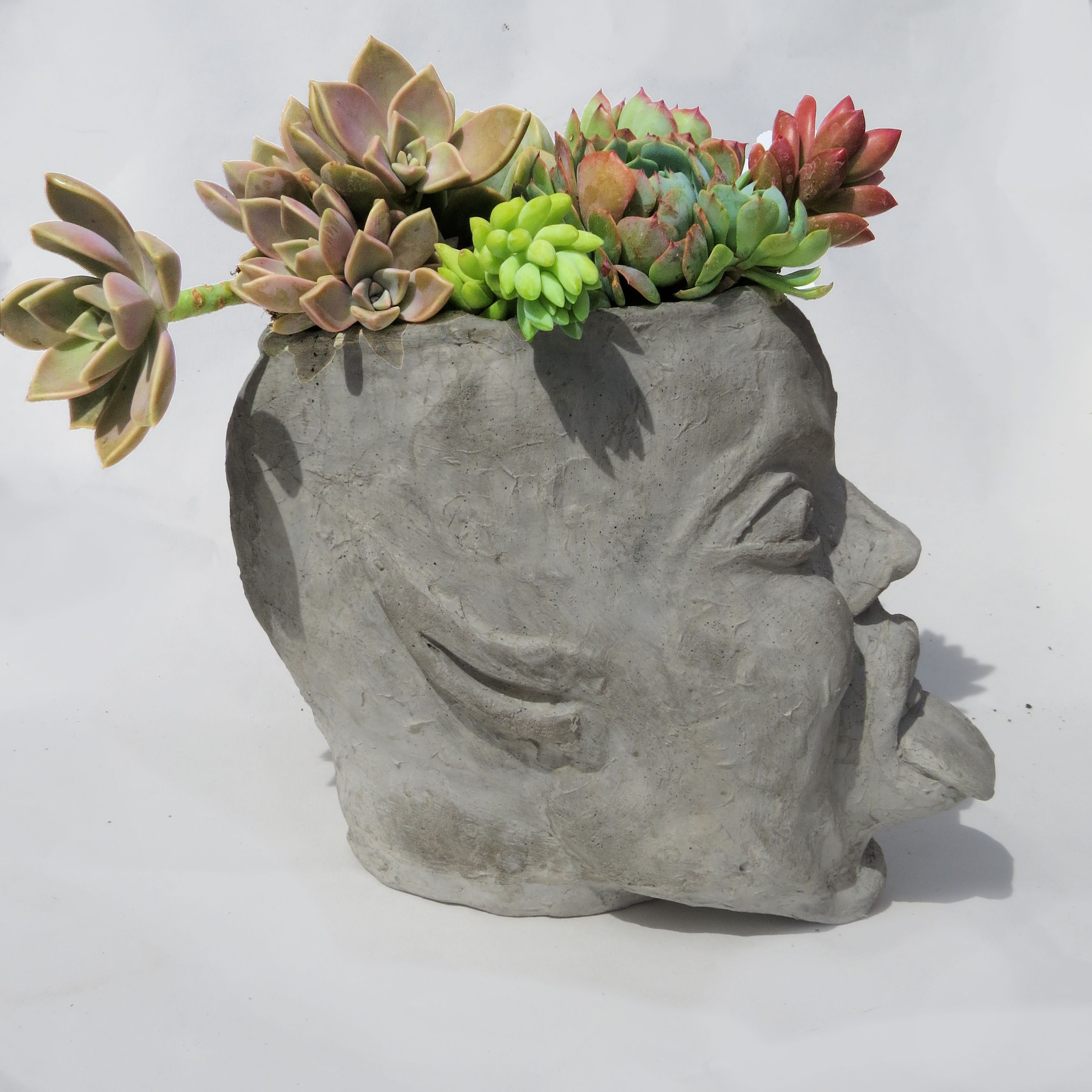 NAUGHTY FAIRY – LARGE CONCRETE HEAD PLANTER – Succulent Plants UK